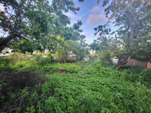 dacha-snt-n5-oao-gaz-snt-n-5 фото
