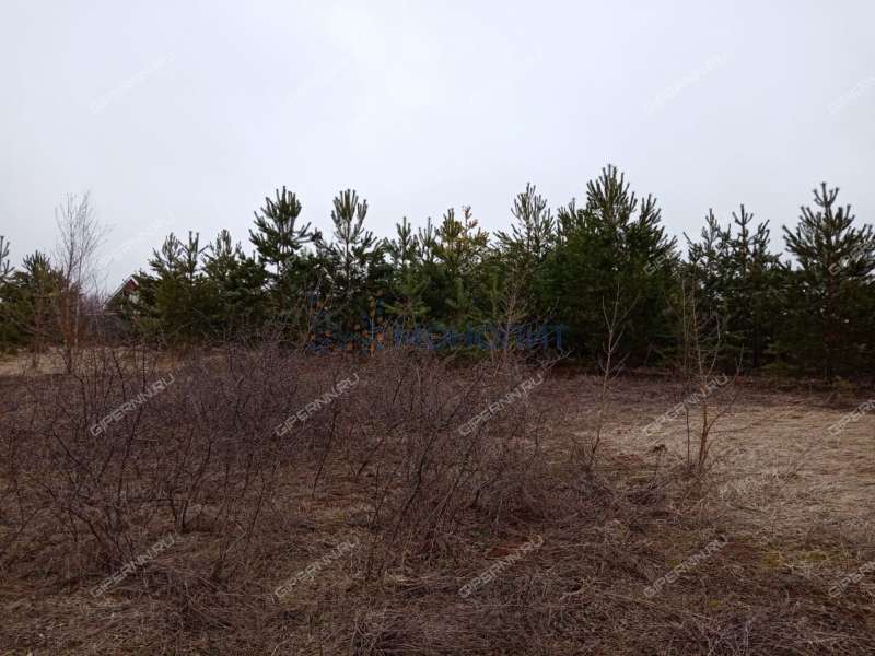 земельный участок 9,95 сотки Солнечная улица ДП Чешские Сады (деревня Непецино) тер