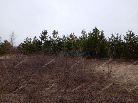 derevnya-nepecino-bogorodskiy-municipalnyy-okrug фото