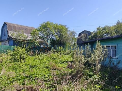 dacha-derevnya-zolotovo-gorodskoy-okrug-bor фото