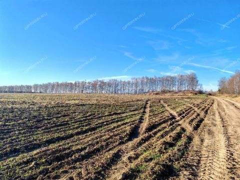 selo-aleshkovo-bogorodskiy-municipalnyy-okrug фото