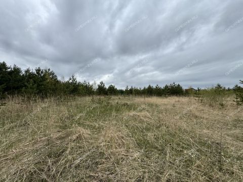 derevnya-nepecino-bogorodskiy-municipalnyy-okrug фото