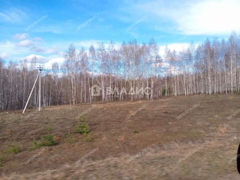 земельный участок 110 соток деревня Инютино