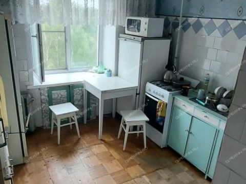 2-komnatnaya-b-r-zarechnyy-d-1 фото