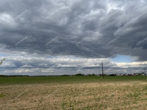derevnya-kalikino-gorodskoy-okrug-bor фото