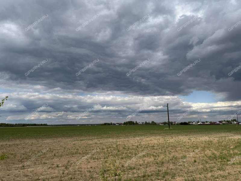 земельный участок 8 соток Романа Уханова деревня Каликино