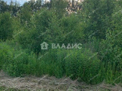derevnya-kozhevennoe-bogorodskiy-municipalnyy-okrug фото