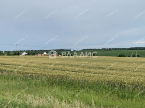 derevnya-kuvardino-kstovskiy-rayon фото