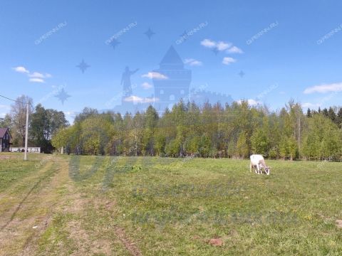 selo-vershilovo-gorodskoy-okrug-chkalovsk фото