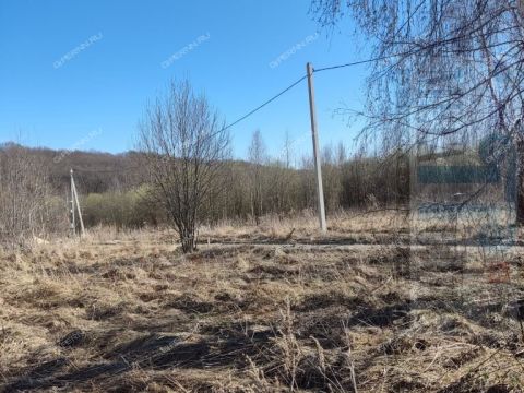 derevnya-shumilovo-bogorodskiy-municipalnyy-okrug фото
