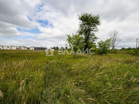 derevnya-prudy-bogorodskiy-municipalnyy-okrug фото