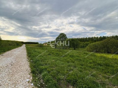 selo-dudenevo-bogorodskiy-municipalnyy-okrug фото