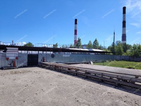 ul-shherbakova-d-37 фото