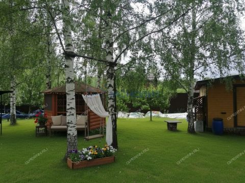 derevnya-lindo-pustyn-gorodskoy-okrug-bor фото
