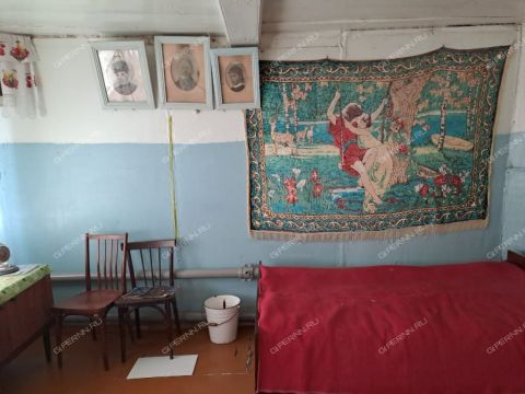 dom-derevnya-belyaniha-perevozskiy-gorodskoy-okrug фото