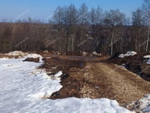 derevnya-afonino-kstovskiy-rayon фото