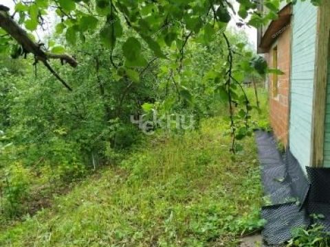 dacha-teplaya-gora-sad фото