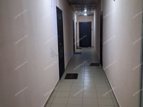 1-komnatnaya-derevnya-afonino-kstovskiy-rayon фото