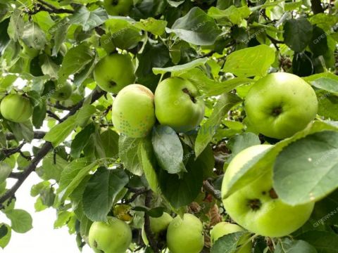 dom-ul-centralnaya-d-11 фото