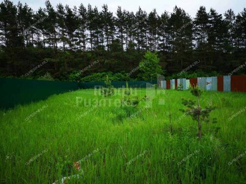 derevnya-vysokovo-bogorodskiy-municipalnyy-okrug фото