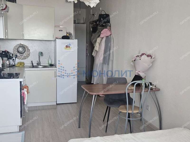 квартира-студия на Русской улице улице дом 3 деревня Анкудиновка