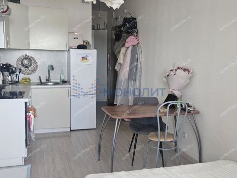 kvartira-studiya-derevnya-ankudinovka-kstovskiy-rayon фото