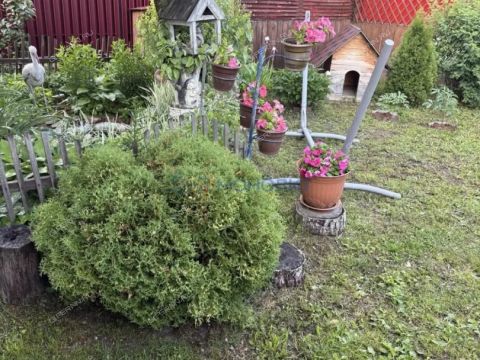 dacha-adonis-derevnya-lapshiha-ter-snt-dalnekonstantinovskiy-rayon фото