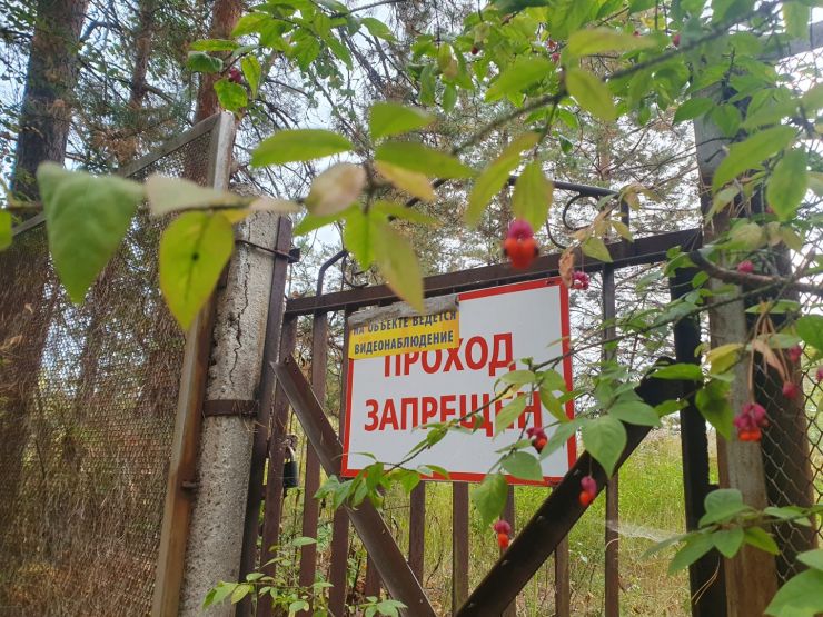 Фото: Ксения Ражева