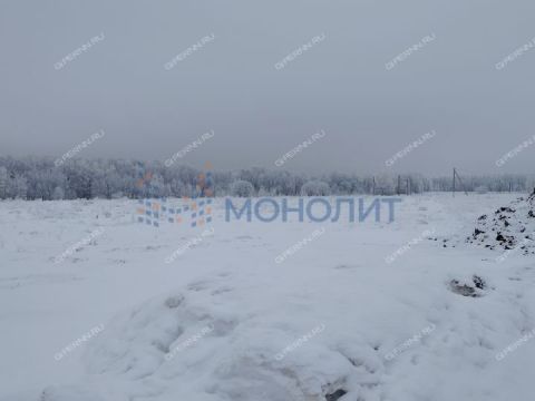 derevnya-bugry-dalnekonstantinovskiy-rayon фото