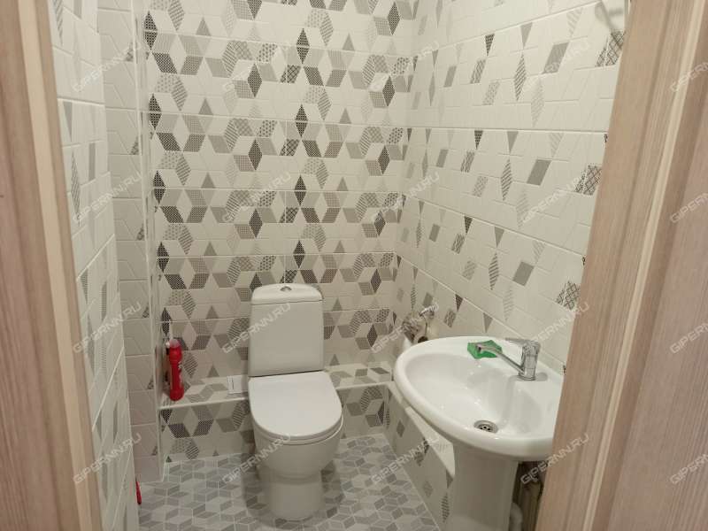 двухкомнатная квартира на улице Академика Чазова дом 1