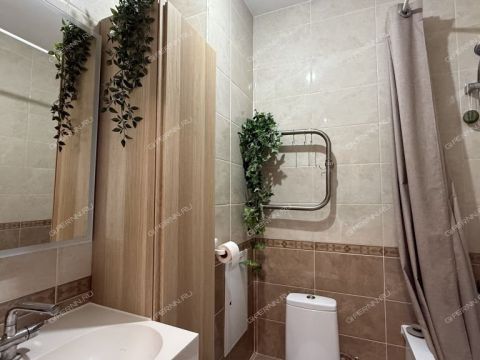 2-komnatnaya-derevnya-ankudinovka-kstovskiy-rayon фото