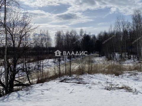 selo-slobodskoe-kstovskiy-rayon фото