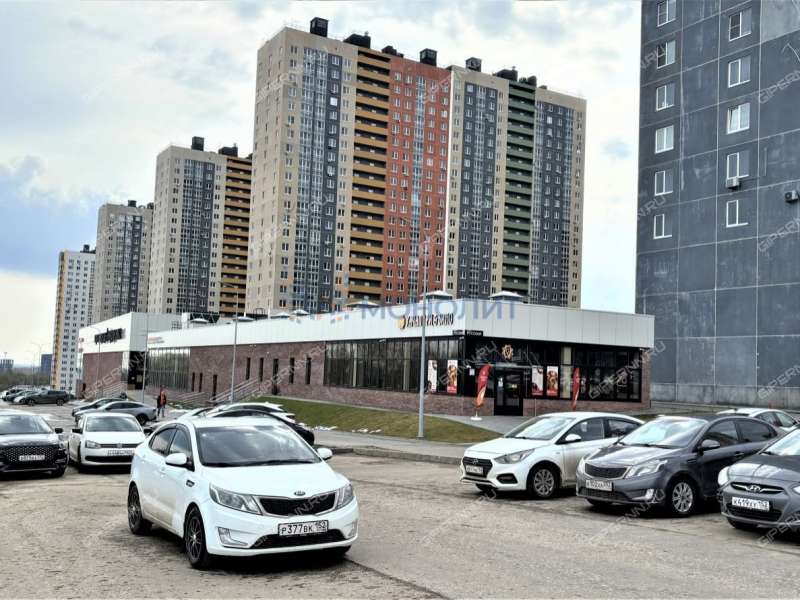 трёхкомнатная квартира на Русской улице улице дом 1 деревня Анкудиновка