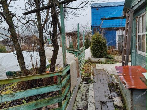 dom-ul-strokina фото