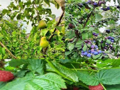 kottedzh-poselok-gnilicy-ul-trostnikovaya-d-20a фото