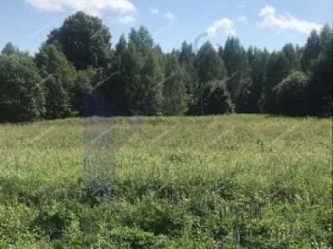 poselok-bogorodskoe-lyskovskiy-municipalnyy-okrug фото