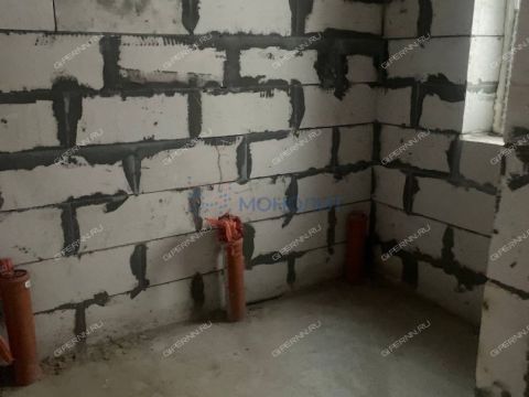 dom-derevnya-royka-kstovskiy-rayon фото