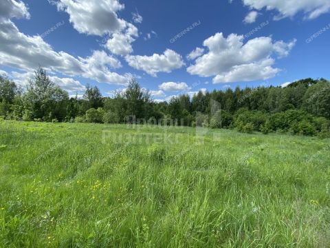 derevnya-lipovki-balahninskiy-municipalnyy-okrug фото