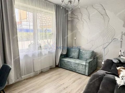 2-komnatnaya-derevnya-ankudinovka-kstovskiy-rayon фото