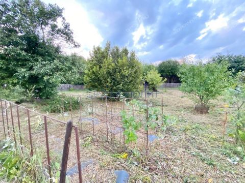dacha-rabochiy-poselok-gidrotorf-balahninskiy-municipalnyy-okrug фото