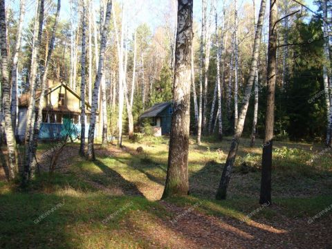 derevnya-syrohvatovo-gorodskoy-okrug-bor фото